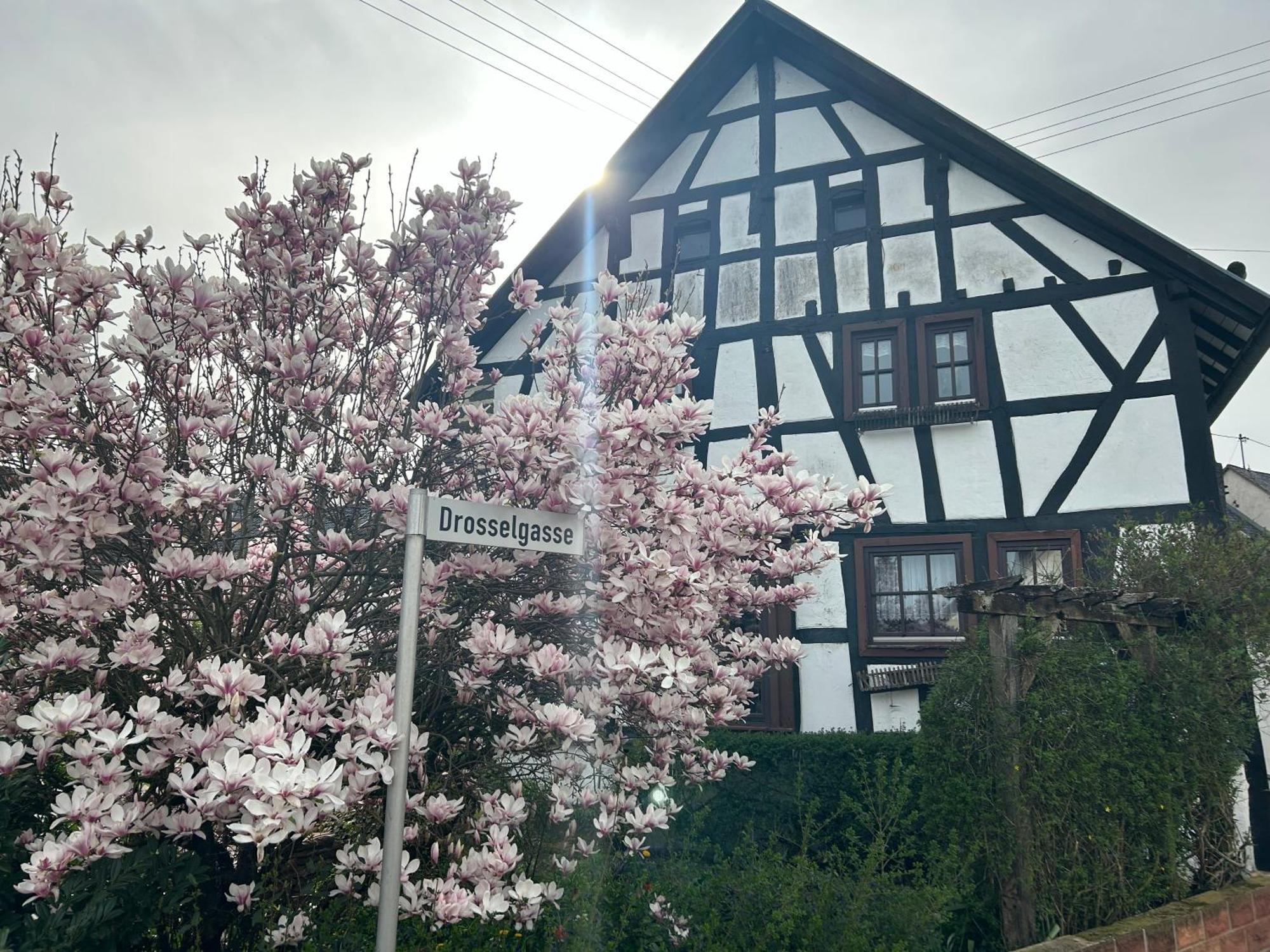 Das Pautzen Haus Daun Exterior photo